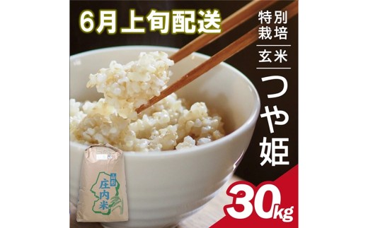 6月上旬配送／令和7年産【玄米】特別栽培米 つや姫　30kg×1袋〈太ももの会〉 FU SG0131
