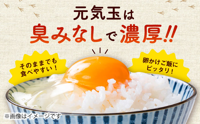 【全3回定期便】平飼い新鮮たまご 元気玉 計40個(10個×4パック) / 卵 ぷりぷり 新鮮 玉子 オムレツ たまごかけごはん 朝食 鶏卵 平飼い 濃厚 こく 熊本県 菊陽町【ぴよっこファーム】 [