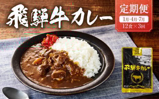 
            【期間限定】【1月開始】飛騨牛カレー 36袋(12袋x3回)  定期便 3回【1月・4月・7月】 | 訳あり 飛騨牛 肉 牛 カレー ビーフカレー 簡易包装 レトルトカレー ご当地カレー 人気 おすすめ ふるさと清見21 DC103
          