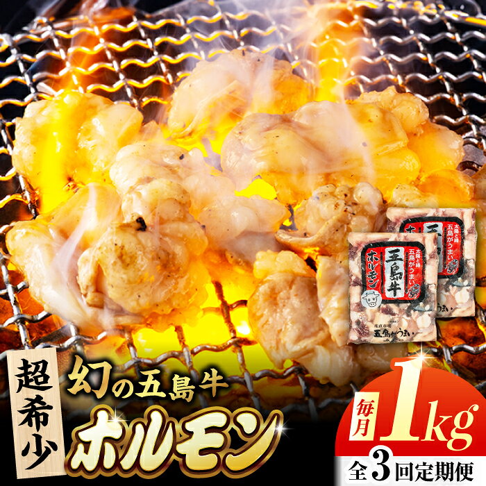 【ふるさと納税】【3回定期便】幻の五島牛ホルモン 1kg 味無し 五島市/ごとう農業協同組合[PAF091] ホルモン 下処理済み プレーン 希少 モツ 鍋 炒め物 ブランド和牛