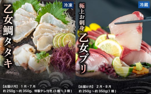 刺身 定期便 6ヶ月 小容量 コース 小島水産 がお届けする！ 美味しい お刺身 ( 鮮魚 下処理済 ) 産地直送 半年 新鮮 6回 （ ブリ かつおタタキ タイ カンパチ 鰤 鰹 真鯛 環八 魚 海