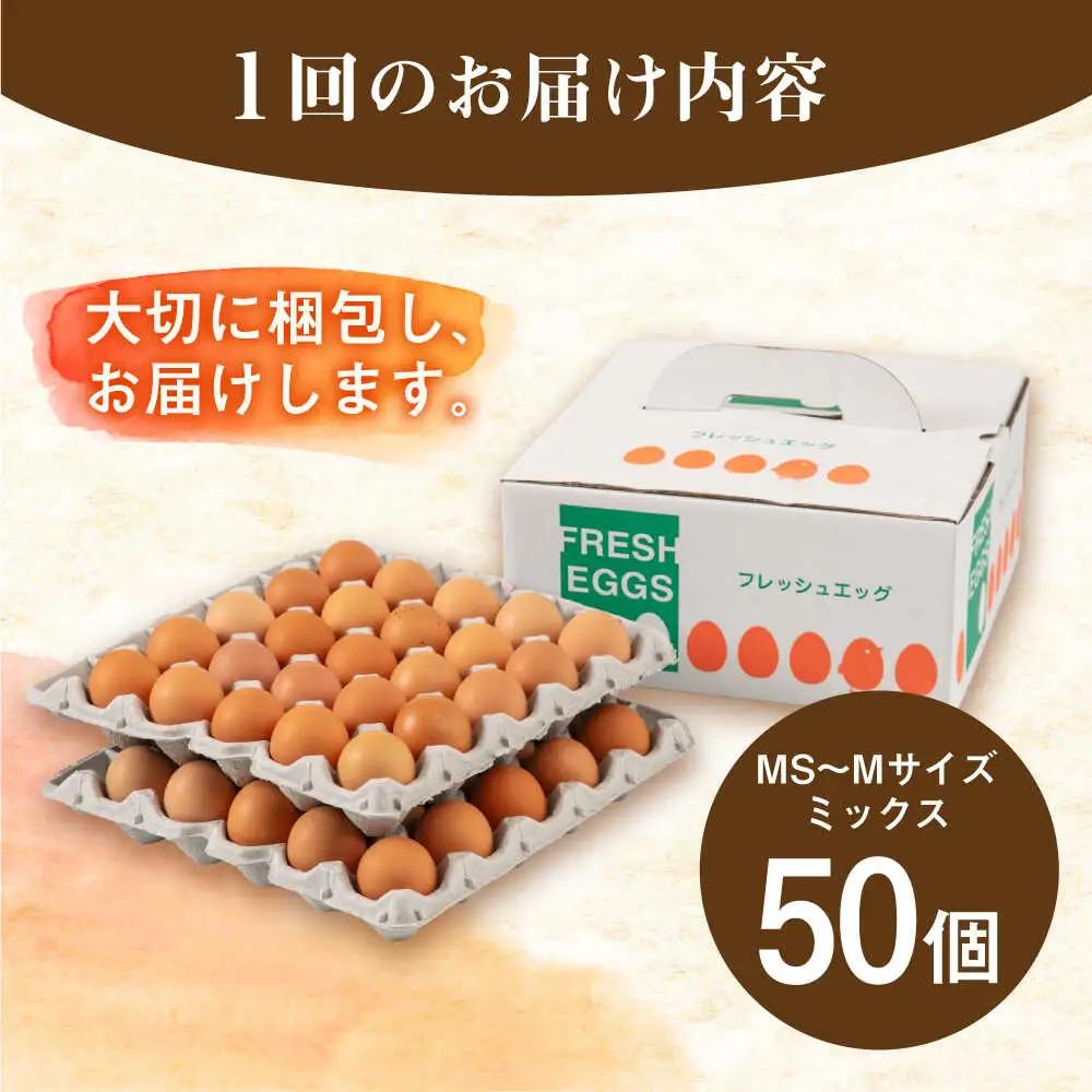 【全3回定期便】卵 50個×3ヶ月 てつやとのりこの玉子 卵 たまご [AWD007]