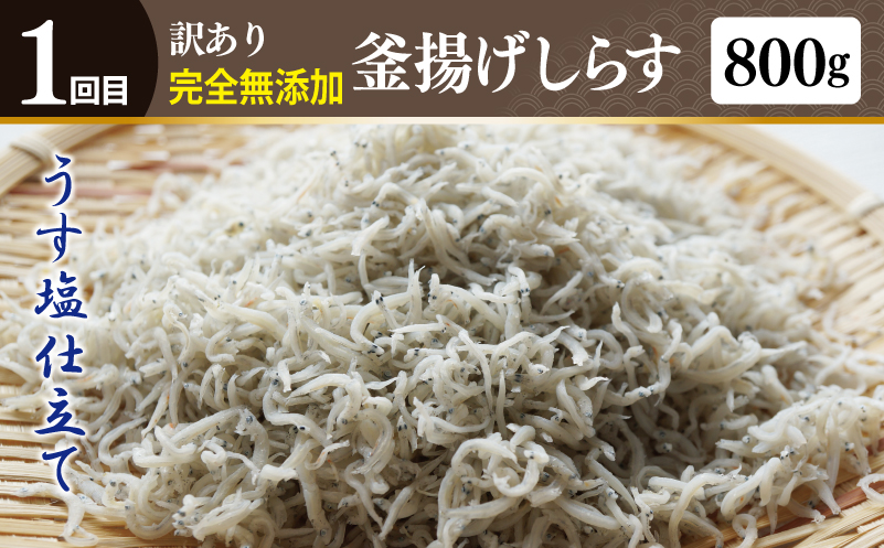 店主セレクト ハンバーグ／しらす 食べ比べ 定期便 全3回【毎月配送コース】 099Z290