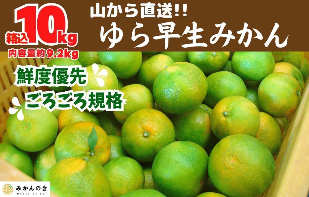 ゆら早生 みかん 山から直送 箱込 10kg (内容量 9.2kg) 採れたてそのままごろごろ規格 有田みかん 和歌山県産 【みかんの会】 	AX314