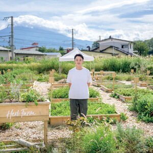 ハーブティーセット(ミント&レモン・シトラス&カモミール) 　ティーバッグ40個×2種