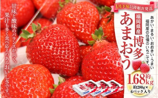 
										
										福岡県産 博多あまおう 約1.68kg(約280g×6パック入り)あまおう 【2025年1月下旬~3月下旬発送予定】
									