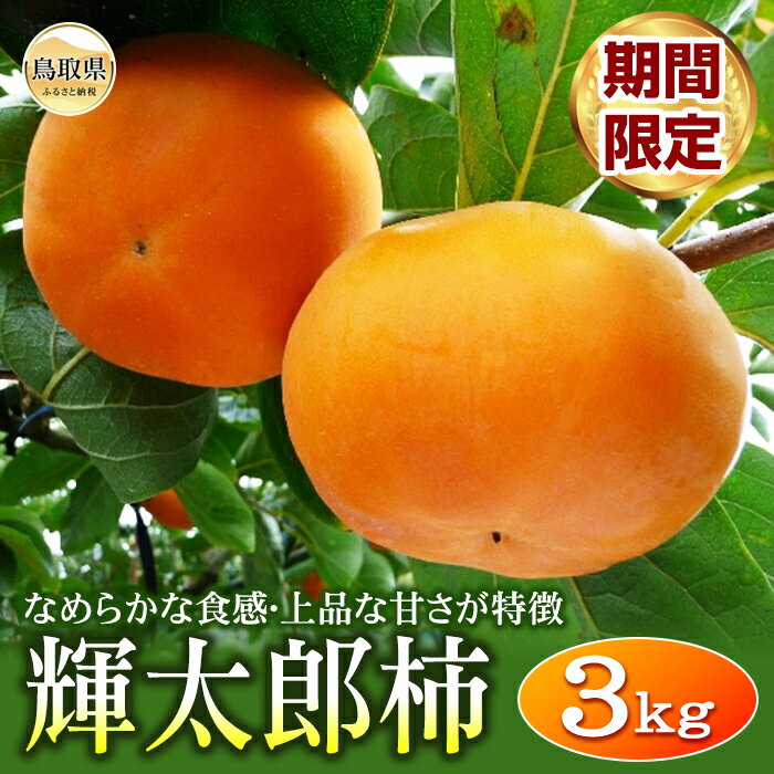 【ふるさと納税】B24-053 柿(輝太郎柿)【期間限定】