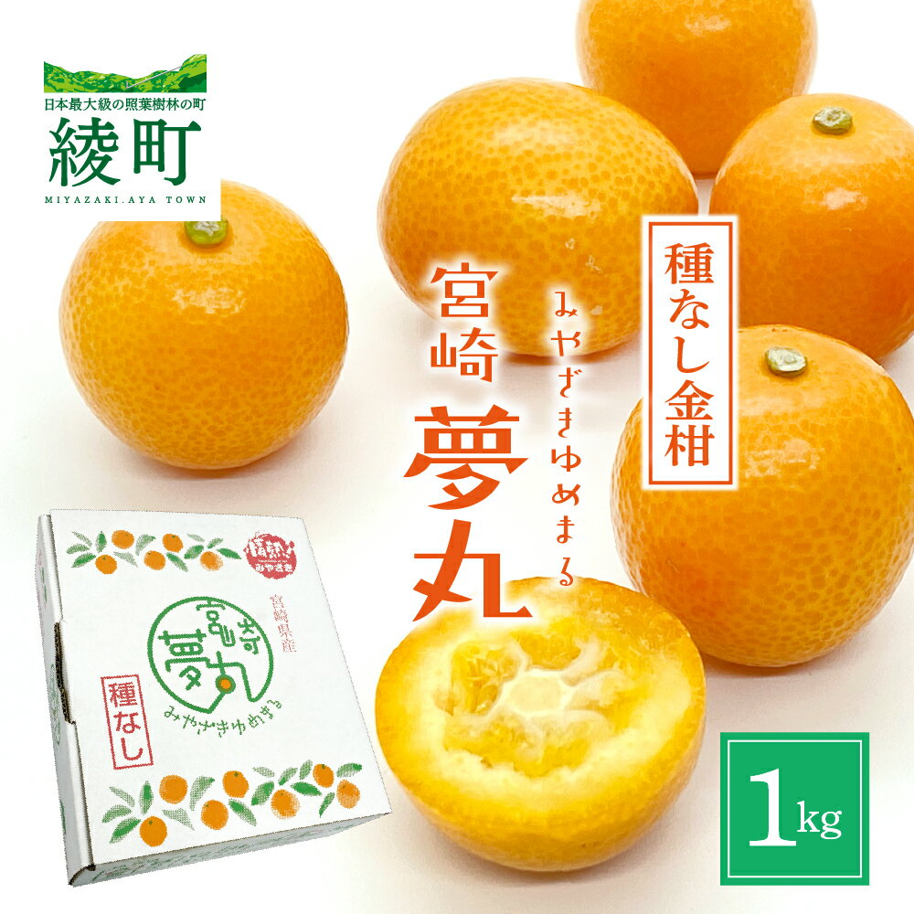 【ふるさと納税】種なし きんかん「宮崎夢丸」 1kg 【完熟 金柑 フルーツ 果物 柑橘 希少 特産品 ギフト プレゼント お取り寄せ グルメ 国産 産地直送 送料無料 綾町】