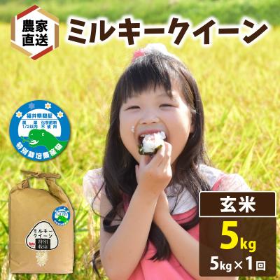 ふるさと納税 南越前町 【先行予約】【令和8年産】【農家直送】 ミルキークイーン 5kg×1袋(計5kg)玄米