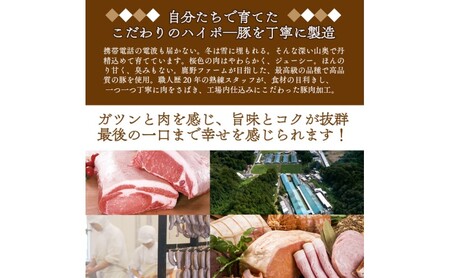 豚肉 山口県産 豚 切り落とし 5kgセット | 携帯の電波も届かない環境で育った旨みたっぷりのハイポー豚 豚 肉 お肉 ※配送不可:離島