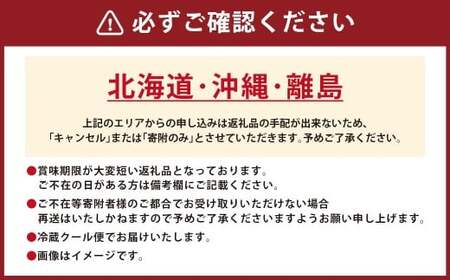 国産天然焼穴子（約400ｇ）【配送不可：北海道・沖縄・離島】