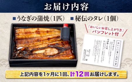 12回定期便 国産 うなぎ 1尾 CCA028 海鮮 鰻 うなぎ 贈答 ギフト ウナギ