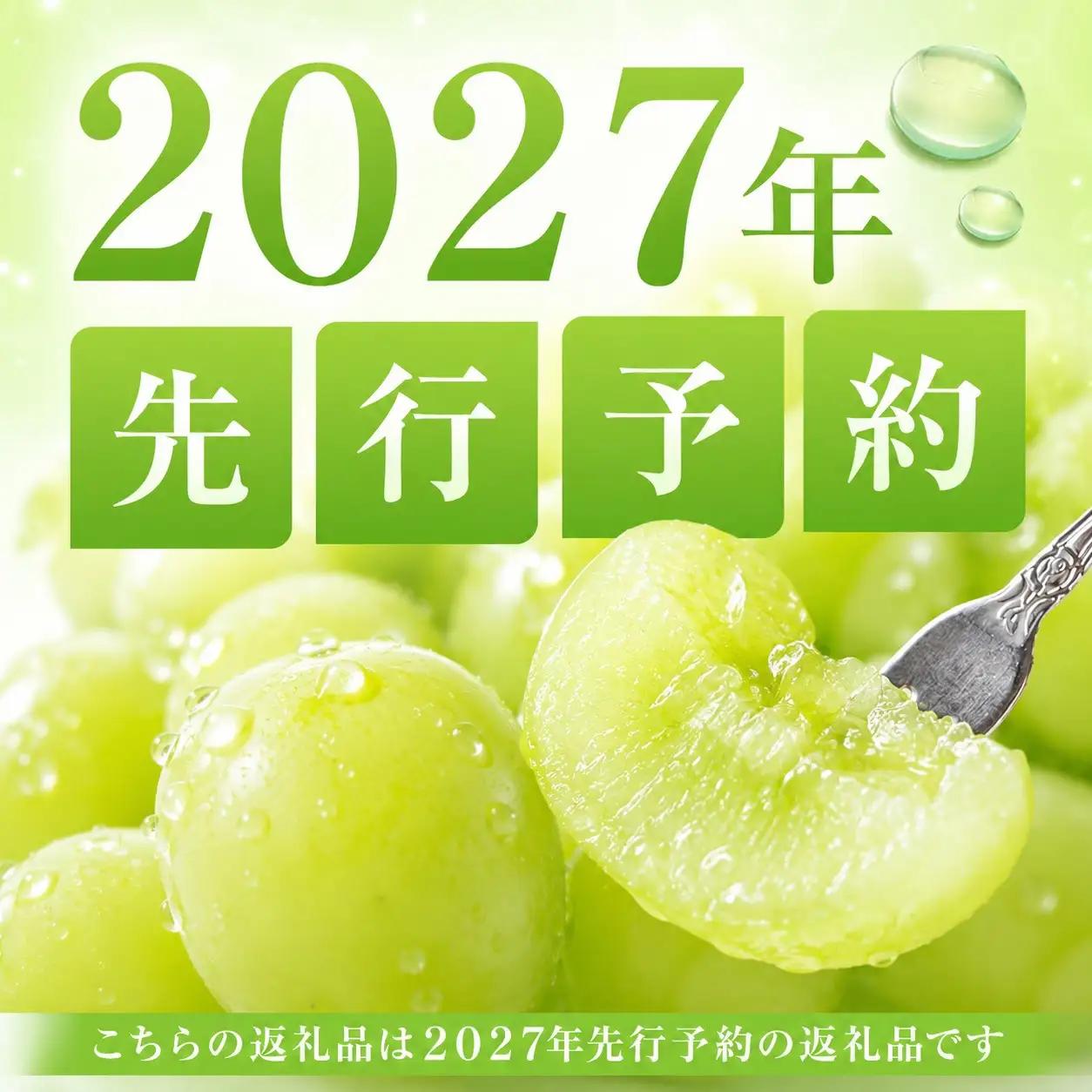ぶどう 2027年 先行予約 桃太郎ぶどう2房(1房470g以上) ブドウ 葡萄  岡山県産 国産 フルーツ 果物 ギフト