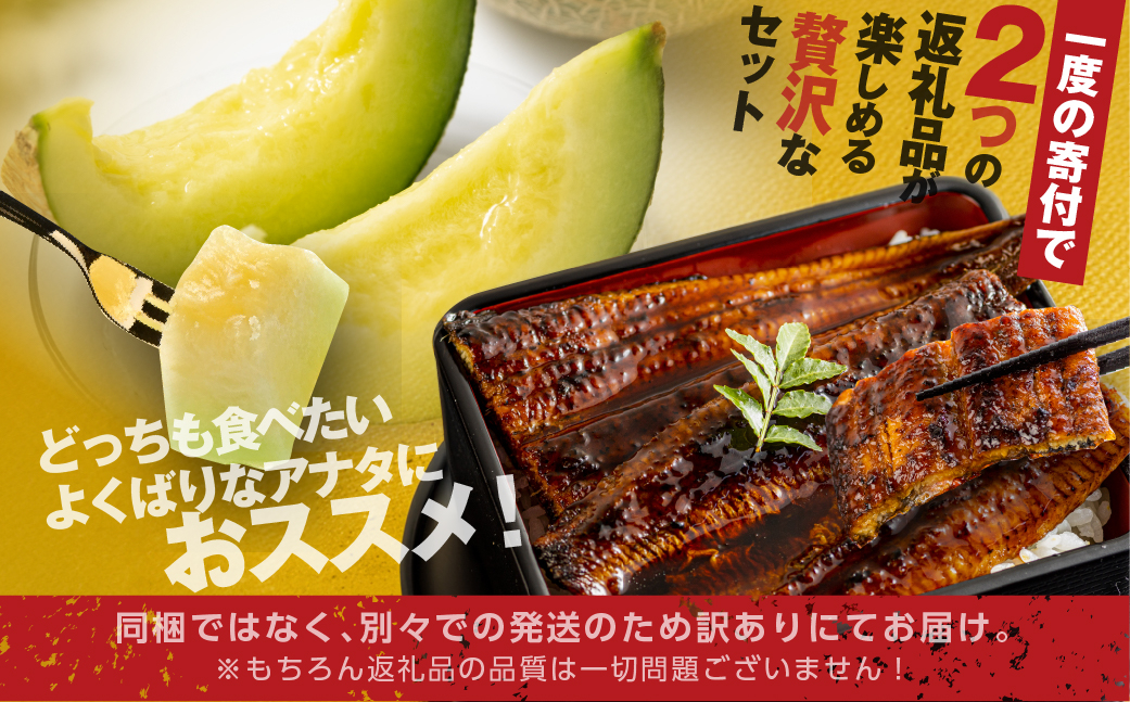 
青うなぎ＆メロン 渥美半島よくばりセット 年内 蒲焼き 鰻 ウナギ うなぎ蒲焼 惣菜 幻 簡単調理 おいしい 高評価 ふるさと納税 魚 さかな 魚介 ランキング フルーツ メロン マスクメロン 2玉 高級 入手困難 期間限定 数量限定 季節限定 ふるさとチョイス キャンペーン おすすめ

