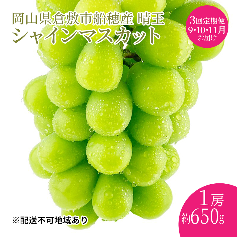 
ぶどう 2024年度分 先行予約 【プレミアムシャインマスカット 晴王 1房 約650g 定期便 3回】船穂産　赤秀品以上 岡山県産 葡萄 ブドウ ギフト ハレノフルーツ 皮ごと食べる みずみずしい
