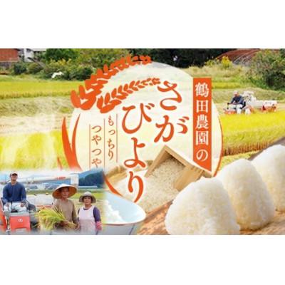 ふるさと納税 伊万里市 令和7年 伊万里産 鶴田農園の「さがびより」10kg