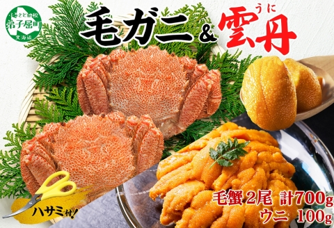 3418. 毛蟹 2尾 計700g前後 うに 100g 毛ガニ 毛がに 蟹 カニ かに 蟹肉 カニ味噌  ウニ チリ産 冷凍 雲丹 海鮮 北海道 弟子屈町