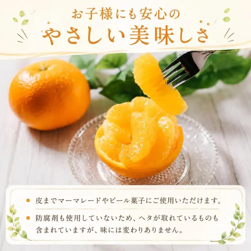 【2027年1月下旬から順次発送 】【伊予柑】 約10kg 伊予柑 愛媛県松山市【DRM006】
