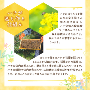 《2026年7月発送》 はちみつ 【千代田町の蜂蜜】600g 百花蜂蜜 群馬県 千代田町 ＜田代養蜂場＞※沖縄・離島配送不可 
