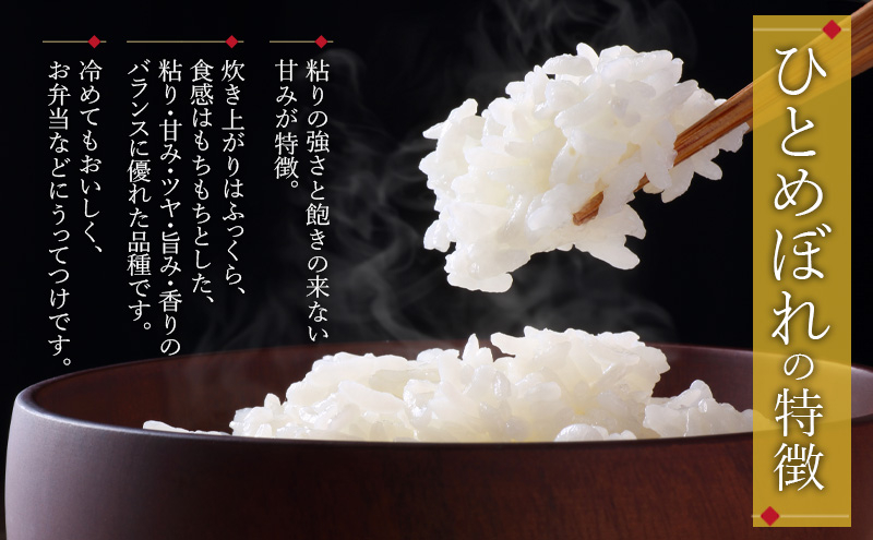 ひとめぼれ 10kg 5kg×2袋 白米 お米 米 岩手県産 盛岡市産 精米 単一原料米 ごはん ご飯 産地直送 農家直送 美味しい 粘り 甘み 毎日 食べやすい 主食 備蓄 保存 食卓 家族 朝食 