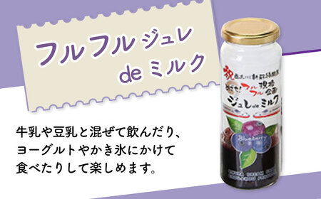 ブルーベリー！ブルーベリー！シュシュオリジナル加工品セット 大村市 おおむら夢ファームシュシュ[ACAA022] フルーツ ブルーベリー ジャム ジュース ジュレ フルーツ ブルーベリー ジャム ジュ
