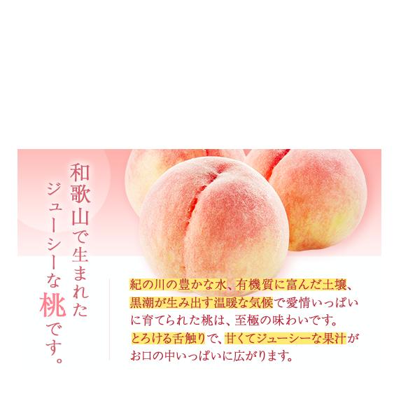 【産直・人気の特産品】和歌山の桃　3玉入り
※着日指定不可
※北海道・沖縄・離島への配送不可
※2025年6月下旬～8月上旬頃