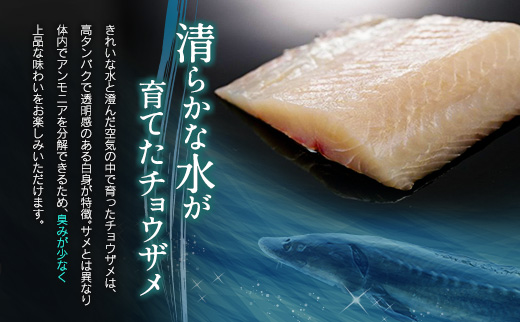 チョウザメの切り身70g×8パックセット 魚介 真空パック カット済み 国産 切身 宮崎県【B687】