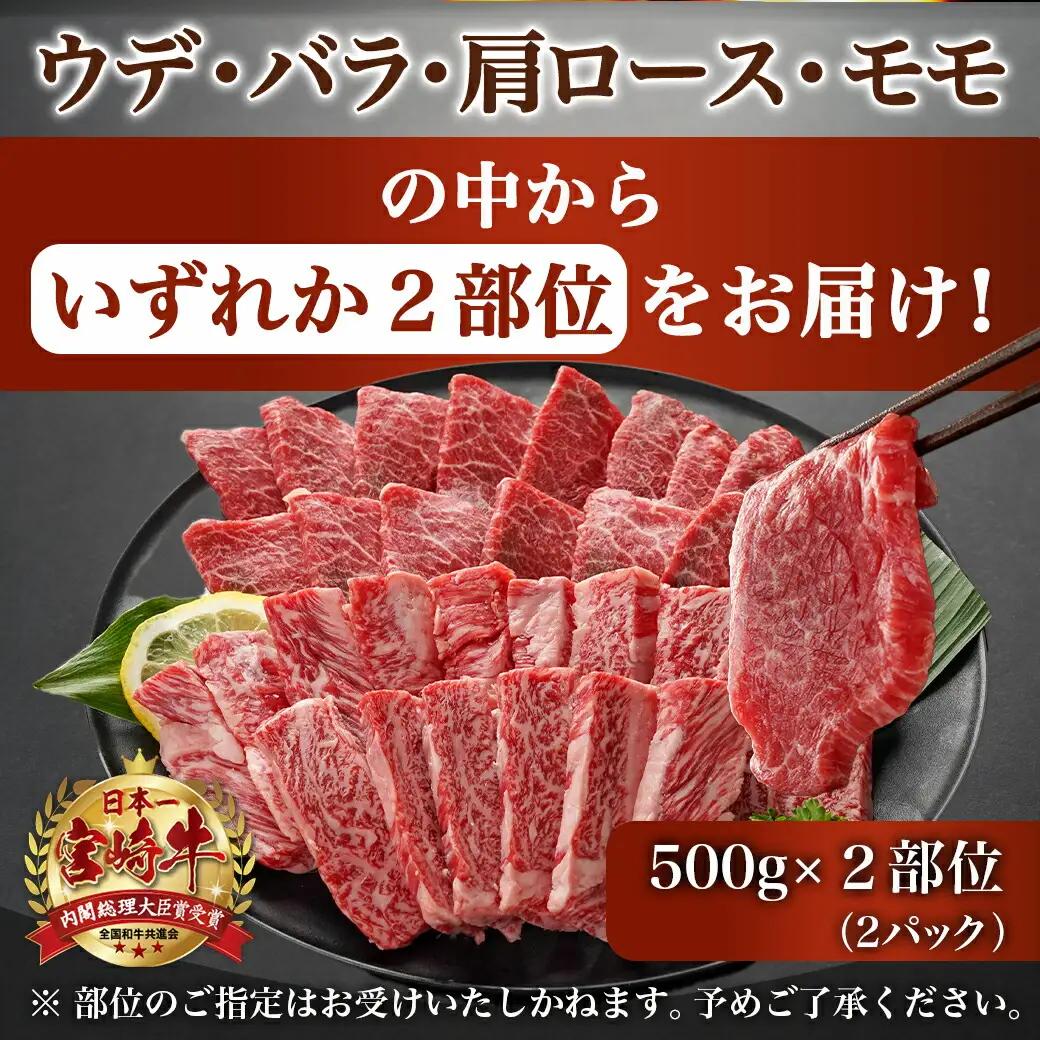 宮崎牛ミックスカルビ焼肉500g×2≪みやこんじょ快速便≫〔AC-8916-R〕_(都城市) 宮崎県産宮崎牛 ミックスカルビ焼肉 ウデ/バラ/肩ロース/モモ いずれか２部位 冷凍配送