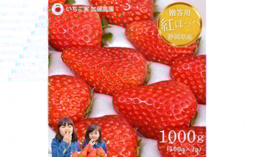 
            【2026年出荷の先行予約】【贈答用】 静岡県産いちご 紅ほっぺ 500g×2パック（1パック12～15粒）【配送不可：北海道・沖縄・離島】 冷蔵配送 苺 フルーツ◇
          
