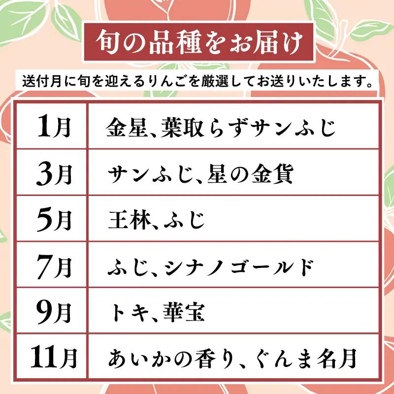 りんご 定期便 訳あり 5kg 隔月配送 定期便６回 訳あり りんご