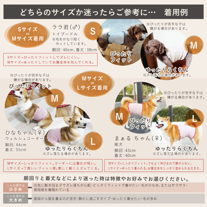 ＜ベージュ＋サックス＞日本製 pancia シルク 腹巻 犬用 (Mサイズ・2枚) 【tm-BF046-C】【一般社団法人田原本まちづくり観光振興機構】