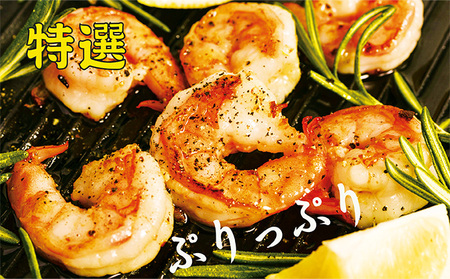 むきえび 特撰 800g 背わたなし 冷凍 むきえび