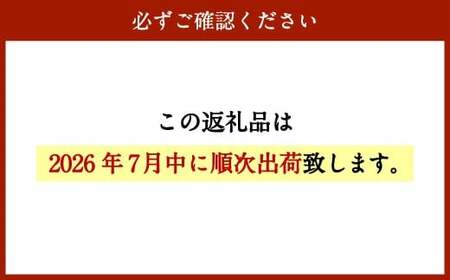 【先行予約】＜宮崎県産ライチ600g＞2026年7月中に順次出荷【c644_mk_x6】