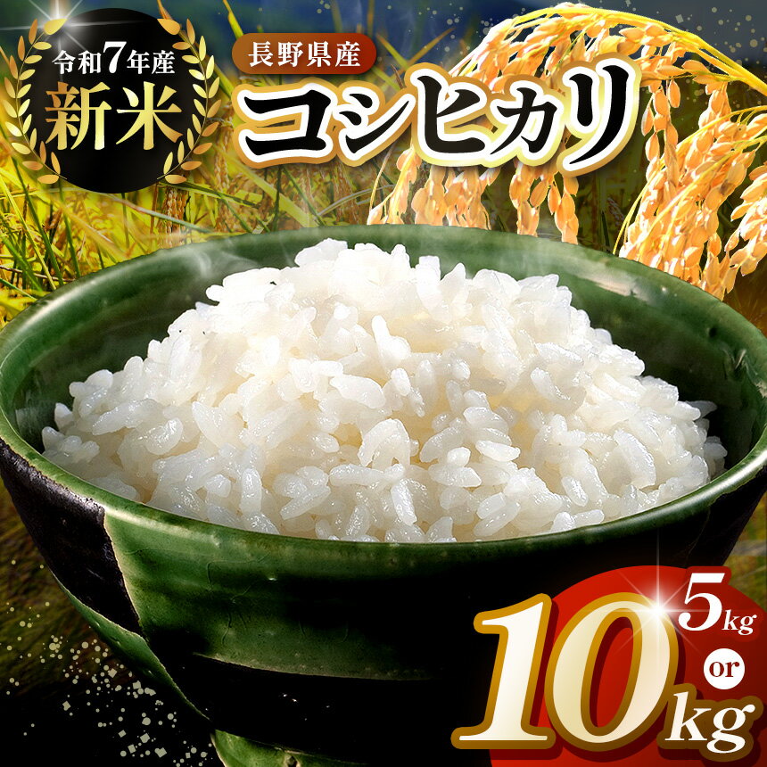【ふるさと納税】【選べる】令和7年度　伊那市田原産米　コシヒカリ　5キロ or 10キロ 【014-50】【027-17】｜ 米 コシヒカリ 田原産 お米 伊那 伊那産 長野県 ふるさと納税