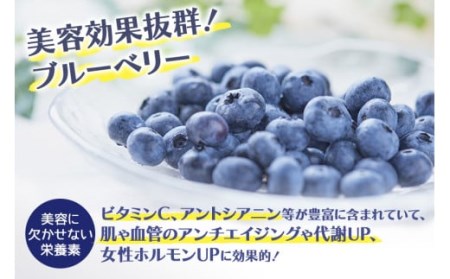 【数量限定】果汁50％ピンクブルーベリー飲料1本＆果汁50％ブルーベリー飲料1本（化粧箱入り） 9-P