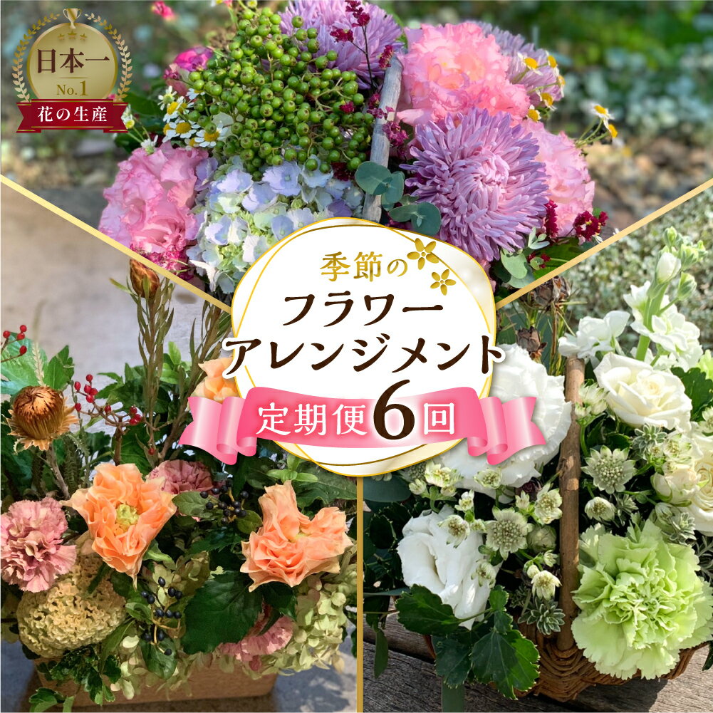 【ふるさと納税】 定期便 6回 季節のお花を使った フラワーアレンジメント 花 かご付き 生花 お任せ ギフト プレゼント 飾り 愛知県 田原市 渥美半島