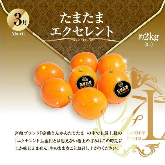 【ふるさと納税】旬のくだもの定期便 「特選コース」 全12回 マンゴー いちご マスカット 国産 宮崎【52】