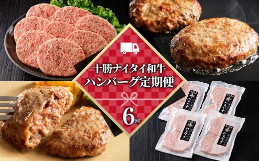十勝ナイタイ和牛 ハンバーグ 6ヵ月 定期便 黒毛和牛100%ハンバーグ 120g×8個×6回 国産 北海道  牛 肉 牛肉 国産牛 和牛 冷凍ハンバーグ ［090-TN81］