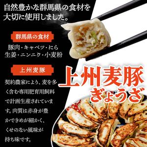 餃子 上州麦豚ぎょうざ 特製ぎょうざ 餃子食べ比べセット