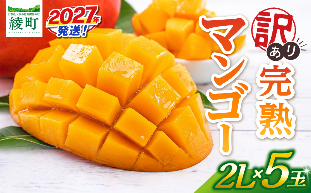 先行予約 訳あり 完熟マンゴー 2L×5玉（パック）マンゴー 宮崎 果物 フルーツ くだもの 2027年 国産 高級 マンゴージュース フルーツサンド 南国フルーツ デザート おすすめ 家庭用 ワケア