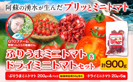 ぷりうまミニトマト ドライミニトマト セット 計900g トマト ミニトマト 野菜 GTOファーム 熊本県 南阿蘇村《2026年7月上旬-10月末頃出荷》