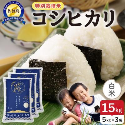 ふるさと納税 佐渡市 【新米】令和8年産 佐渡島産コシヒカリ 白米15kg 特別栽培米【食の宝島佐渡】