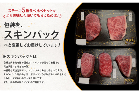 佐賀牛 ステーキ5種食べ比べセット 500g （100gx5枚） A5 A4 サーロイン ヒレ 希少部位【希少 国産和牛 牛肉 肉 牛 ステーキ】(H085194)