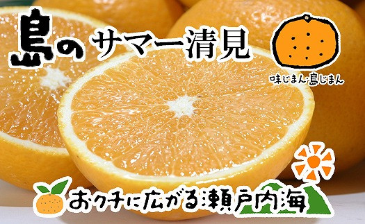 
【2025年4月上旬から発送予定】希望の島 サマー清見 4kg 愛媛 中島産 愛媛県産 みかん 柑橘
