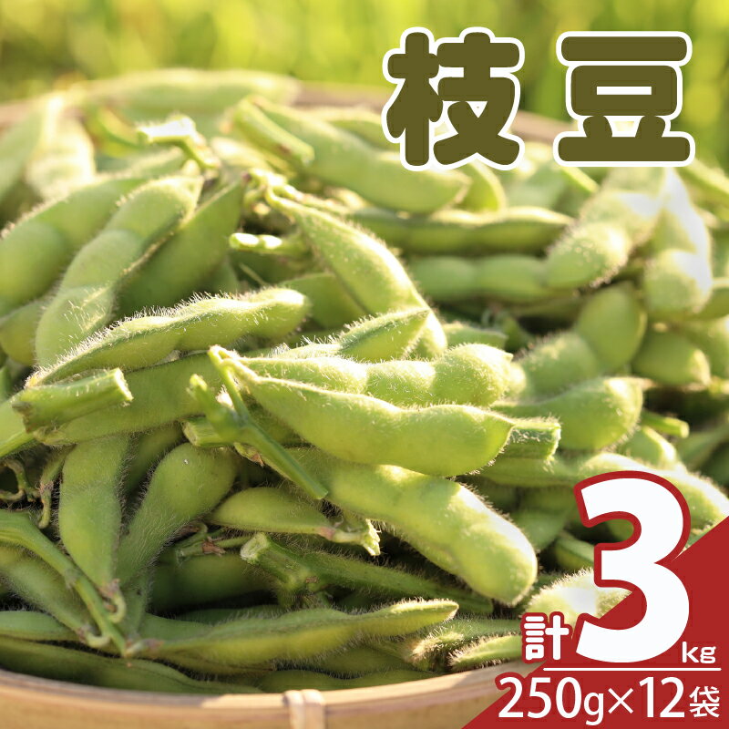 【ふるさと納税】先行予約 期間限定 枝豆 茶豆風味 茶豆 3kg 野菜 おやつ おつまみ 豆類 茹で 焼き お気軽 産地直送 季節限定 おすそ分け お取り寄せ グルメ おすすめ 食品 国産 宮崎県 都農町 送料無料
