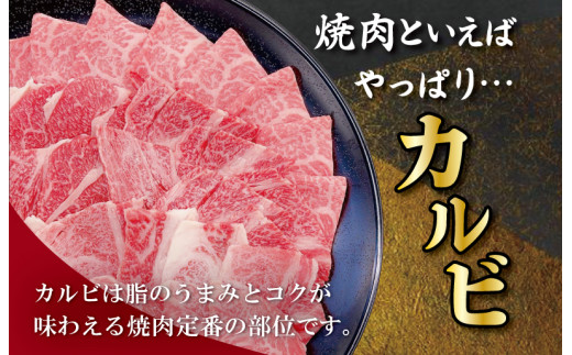 松阪牛 カルビ 500g 肉 牛 牛肉 和牛 ブランド牛 松坂牛 高級 国産 霜降り 冷凍 ふるさと 人気 焼肉用 BBQ バーベキュー カルビ SS78