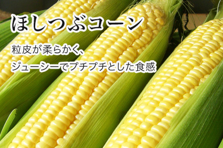 とうもろこし  ほしつぶコーン ２０本【令和８年産予約受付】 北海道とうもろこし [016-90]