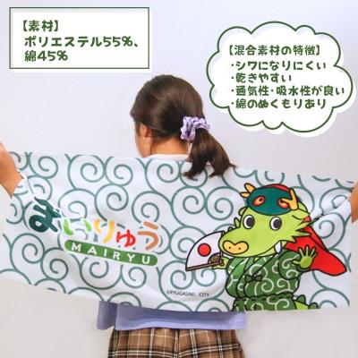 ふるさと納税 龍ケ崎市 龍ケ崎市公式マスコットキャラクター まいりゅうタオル1枚 |  | 01