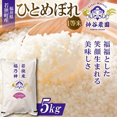ふるさと納税 若狭町 【令和8年産先行受付】福井県若狭町 ひとめぼれ(1等米)　5kg