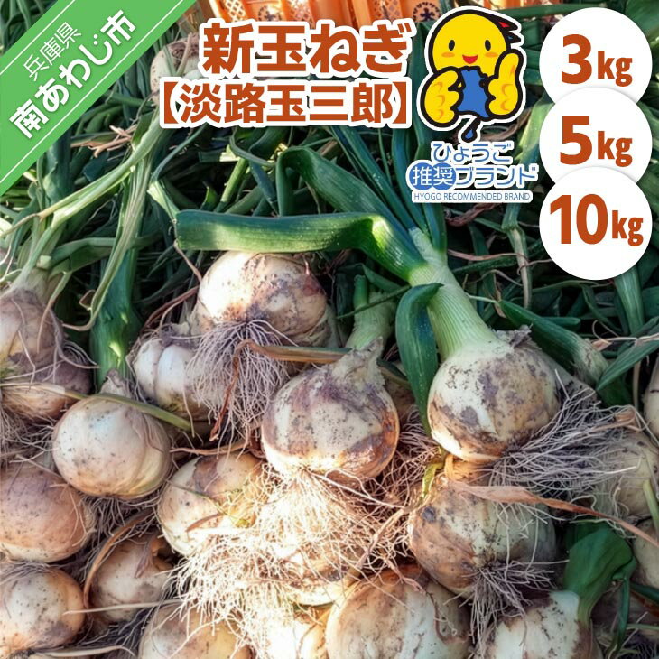 【ふるさと納税】【新玉・ひょうご推奨ブランド】新玉ねぎ（淡路玉三郎）◆配送3月上旬～5月中旬